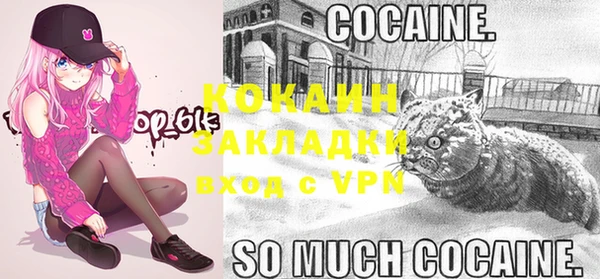 гидра Лихославль